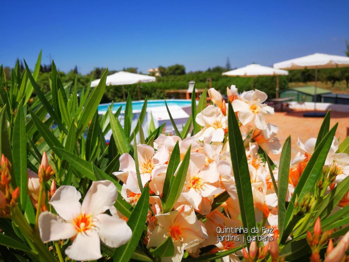 Quintinha Da Foz Guest House Sao Pedro  Bagian luar foto