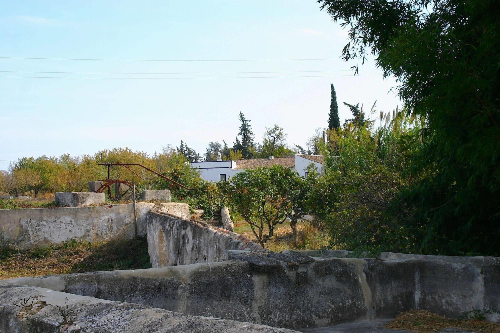 Quintinha Da Foz Guest House Sao Pedro  Bagian luar foto